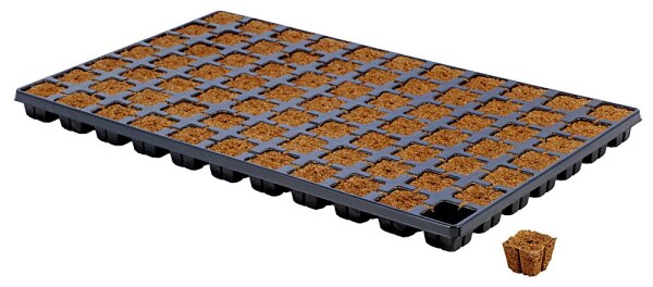 Eazyplug CT77  (10 Trays/Karton)