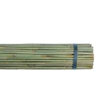 Bambusstöcke 120 cm (500 st)