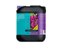 Atami/Bcuzz Blossom Builder Liquid 5 L