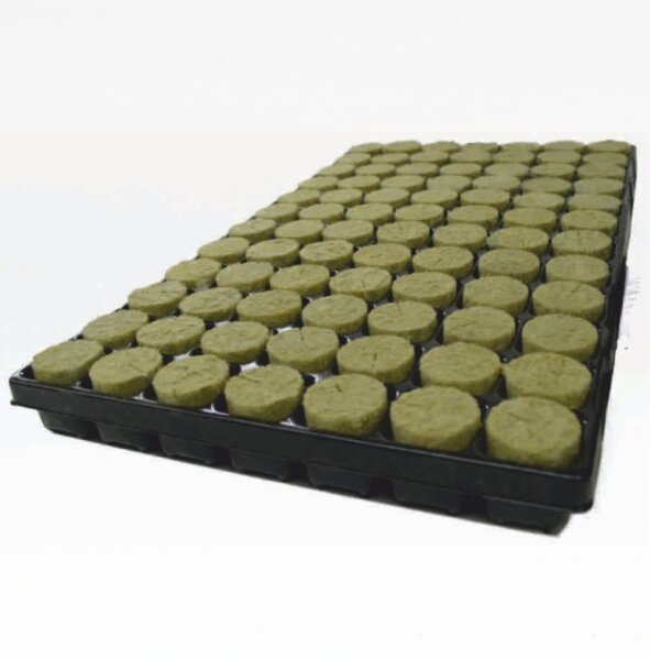 Agra-Wool BASIC 38/40mm Plug Tray 84st. (11st/Karton)