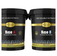 Gold Label Dry Solution Base A&B  2,25 kg